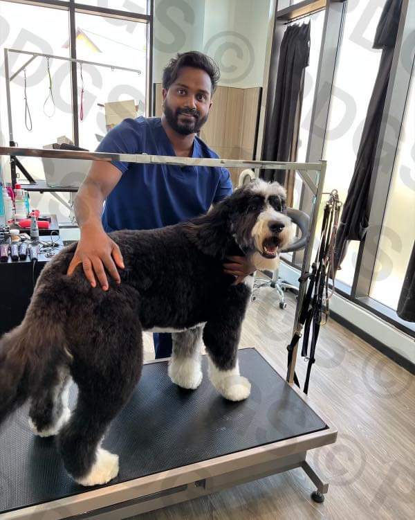 professional_dog_grooming_center+serving+Airdrie+and+Calgary